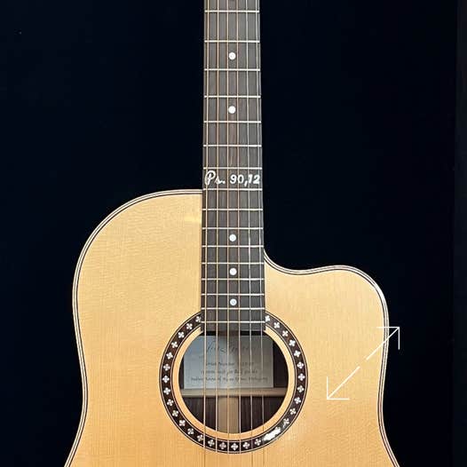 D12 Cutaway - fritz Guitars