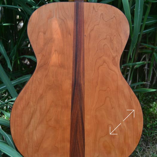 OM - MODEL R. A. G. CUSTOM Back