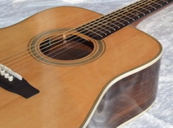 fritz Guitars Dreadnought D28 mit sitka Decke und ostindischem Palisander