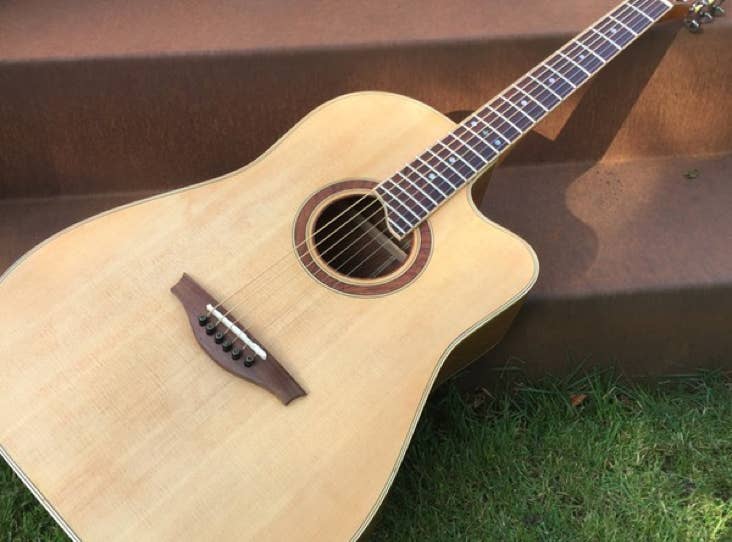 fritz Guitars D12 Cutaway